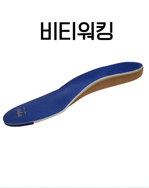 BT워킹