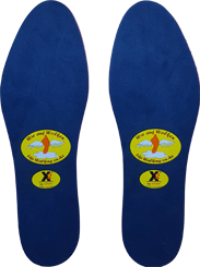 x2